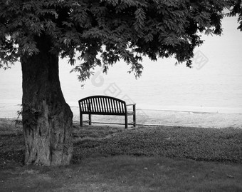 孤独的公园板凳上黑色的白色