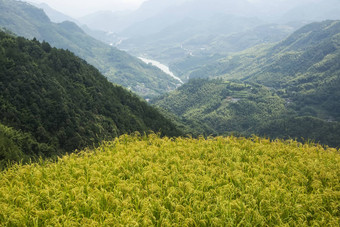 中国温州景观山风景