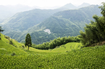 中国温州景观山风景