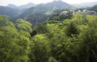 中国温州景观山风景