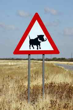危险疣猪路标志纳米比亚