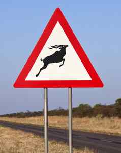 路标志危险羚羊