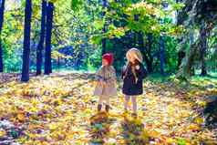 美丽的可爱的女孩走秋天森林温暖的阳光明媚的秋天一天