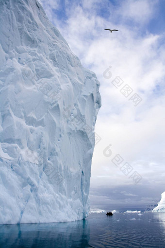 冰山西北峡湾比森德格陵兰岛