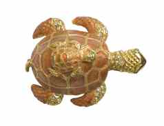 海海龟装饰孤立的
