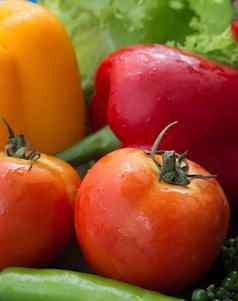 贝尔辣椒代表新鲜的食物番茄