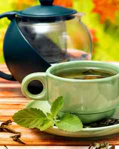 薄荷绿色茶意味着喝刷新咖啡馆