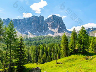 拉斯顿甲酸精又名蓬塔装载甲酸精巨大的<strong>山</strong>块绿色草地树夏天天空白云石<strong>山</strong>脉意大利