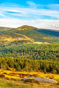 绿色森林景观马利西山山小屋巨大的山krkonose捷克共和国