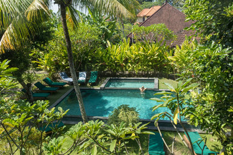 年轻的女人放松户外游泳池包围郁郁葱葱的热带绿色植物乌布巴厘岛