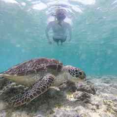 女人假期穿snokeling面具游泳海乌龟绿松石蓝色的水吉利·岛屿印尼水下照片