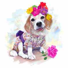 可爱的小猎犬号穿可爱的服装日本风格花冠