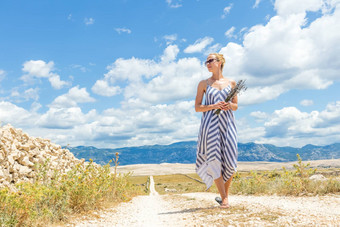 高加索人年轻的女人夏天衣服持有花束薰衣草花走户外干岩石地中海克罗地亚海岸Lanscape分页岛夏季
