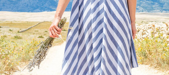 细节女人夏天衣服持有花束薰衣草花走户外干岩石地中海克罗地亚海岸Lanscape分页岛夏季