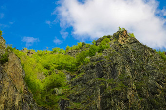 视图山峰山覆盖绿色植物蓝色的天空