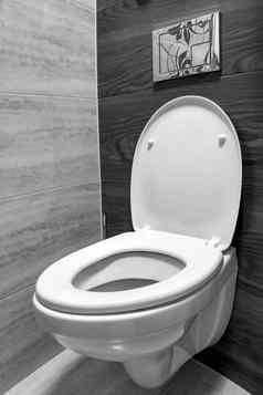 白色厕所。。。现代首页白色厕所。。。碗清洁房间冲洗液体厕所。。。私人厕所。。。现代房间
