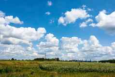 美丽的视图绿色公园春天夏天蓝色的天空白色云