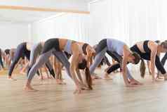 集团年轻的真实的运动有吸引力的人瑜伽工作室练习瑜伽教训教练健康的活跃的生活方式工作健身房