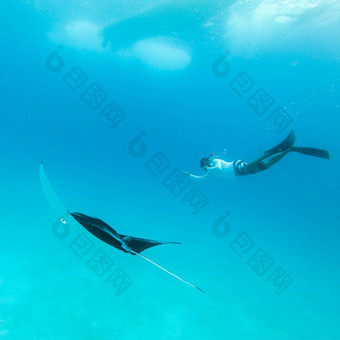 水下视图徘徊巨大的海洋外套雷外套比罗斯特里斯男人。免费的潜水蓝色的海洋看海底世界冒险浮潜之旅马尔代夫岛屿