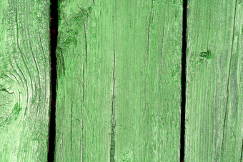 自然绿色木纹理数组结环行