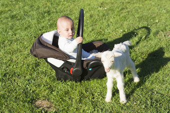 婴儿婴儿车上山羊草玩