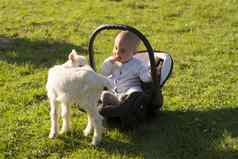 婴儿婴儿车上山羊草玩
