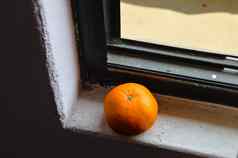 橙色水果窗口窗台上