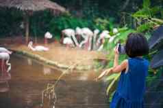 亚洲孩子们女孩旅行学习动物园请求