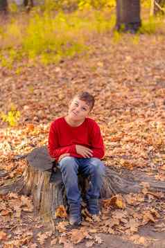 有趣的男孩红色的毛衣坐着树桩秋天森林