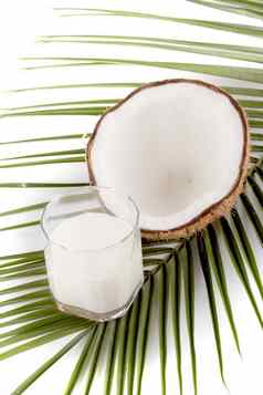 椰子孤立的白色背景热带水果椰子