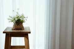 植物能木凳子椅子窗口礼貌