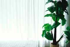 人工植物叶子窗口窗帘