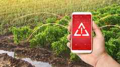 电话警告标志背景贝尔胡椒似乎洋葱种植园日益增长的蔬菜农场收获出售农业综合企业农业改善效率