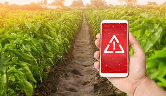 电话警告标志背景甜蜜的保加利亚贝尔胡椒种植园农业收获有害的农药化学物质农业<strong>环境危害</strong>