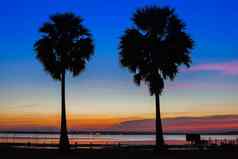 轮廓双胞胎棕榈树背景美丽的日落色彩斑斓的天空