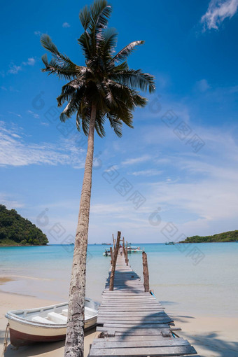 椰子树天空海滩纯果乐