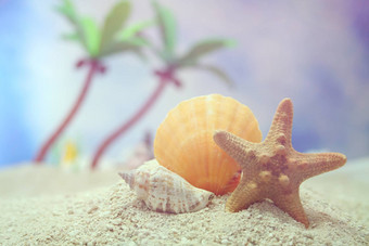热带海滩贝壳明亮的阳光