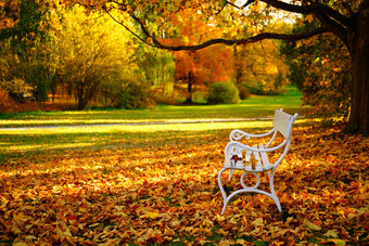白色板凳上秋天苯乙烯城堡公园布拉格捷克共和国