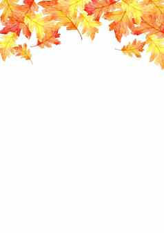 框架红色的叶子秋天森林概念孤立的白色背景平躺前视图复制空间