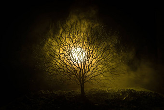 轮廓可怕的万圣节树恐怖脸黑暗多雾的健美的背景月亮回来一边可怕的恐怖树僵尸恶魔脸