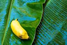 成熟的黄色的香蕉湿香蕉叶