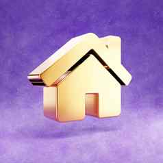 首页图标黄金光滑的房子象征孤立的紫罗兰色的天鹅绒背景