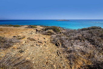 克里希岛风景阳光明媚的夏天一天干树棕色（的）土壤蓝色的清晰的天空阴霾