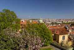 布拉格城市景观全景红色的屋顶