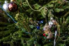 色彩斑斓的圣诞节装饰挂云杉分支机构