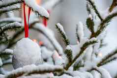 色彩斑斓的装饰白雪覆盖的圣诞节树分支机构