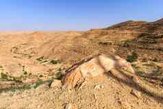 场景石头撒哈拉沙漠沙漠下午