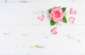 浪漫的粉红色的玫瑰开花白色木背景复制空间
