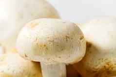 新鲜的食用香草蘑菇宏拍摄特写镜头白色食用香草