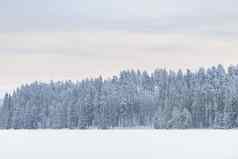 森林冰湖覆盖重雪天空